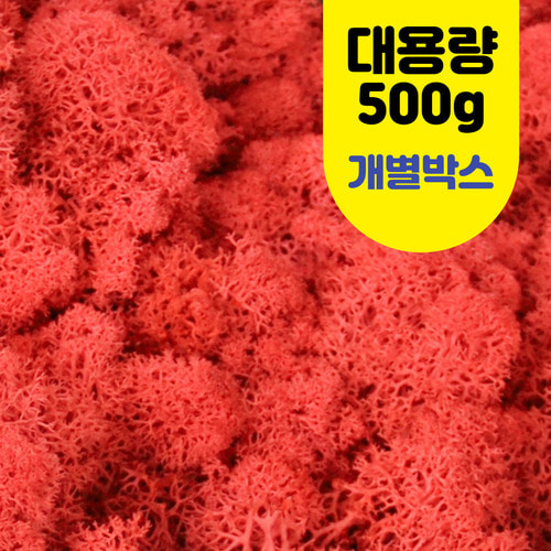 노리프렌즈 만들기재료 - 모스 이끼 빨강 대용량 약 500g 개별상자 꾸미기 재료 천연물