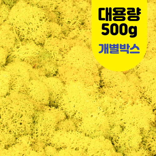 노리프렌즈 만들기재료 - 모스 이끼 노랑 대용량 약 500g 개별상자 꾸미기 재료 천연물