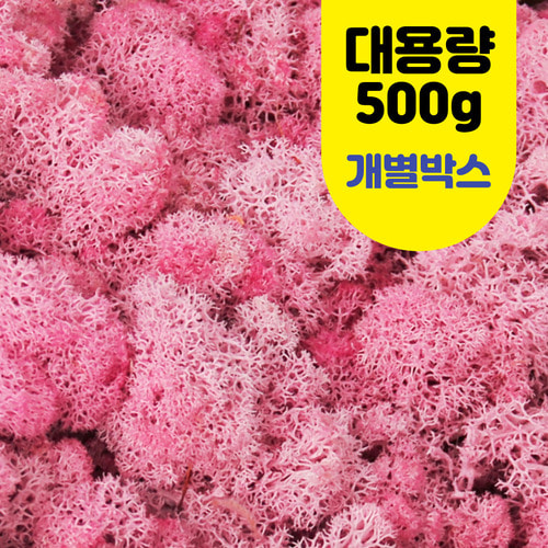 노리프렌즈 만들기재료 - 모스 이끼 분홍 대용량 약 500g 개별상자 꾸미기 재료 천연물