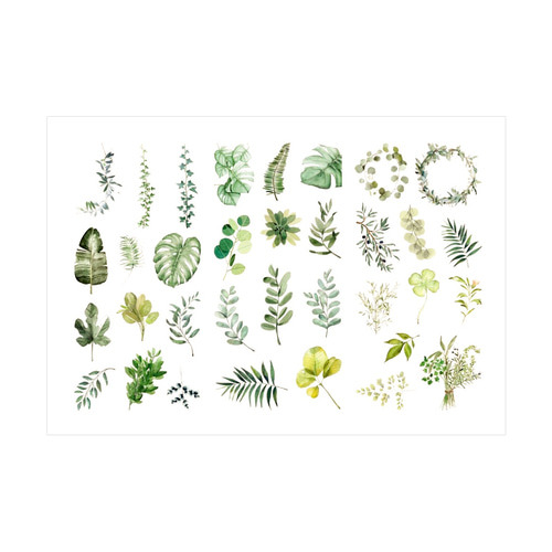 노리프렌즈 만들기재료 - 수채화 스티커 초록잎 장식 압화 데코스티커