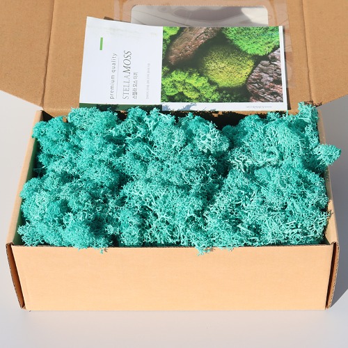 노리프렌즈 만들기재료 - 천연 모스이끼 약200g 옥색 장식 공예재료