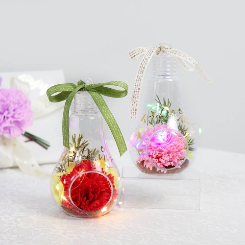 노리프렌즈 만들기재료 - 카네이션 비누꽃 테라리움 만들기패키지 DIY공예