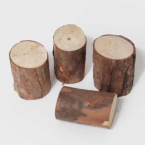 노리프렌즈 만들기재료 - 천연나무조각 통나무 자연물 미술놀이 공예재료