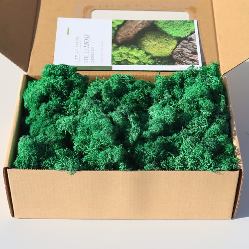노리프렌즈 만들기재료 - 천연 모스이끼 약200g 여름숲그린 장식 공예재료