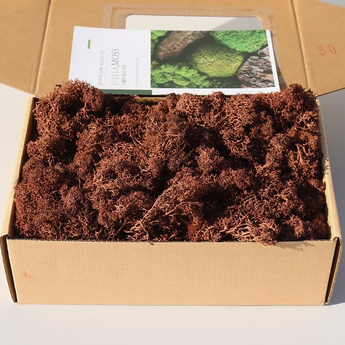 노리프렌즈 만들기재료 - 천연 모스이끼 약200g  브라운나무 장식 공예재료